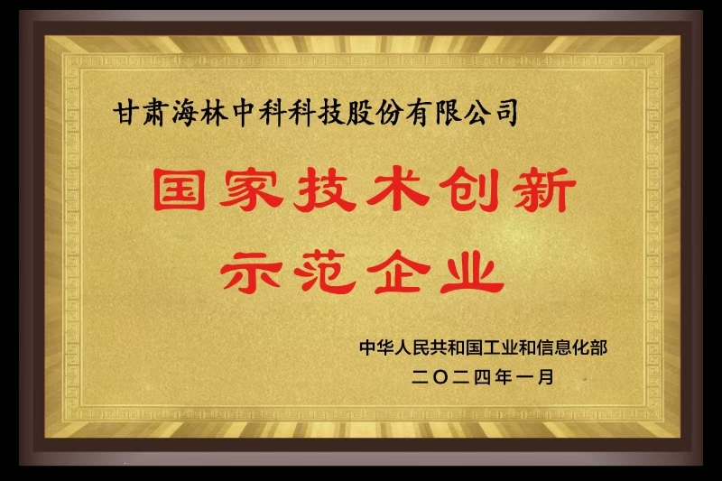 国家技术创新示范企业