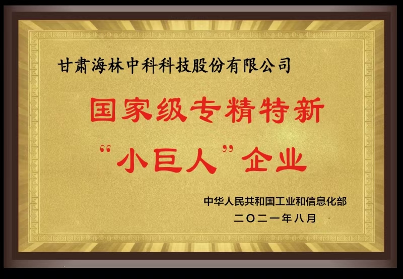 国家级专精特新“小巨人”企业